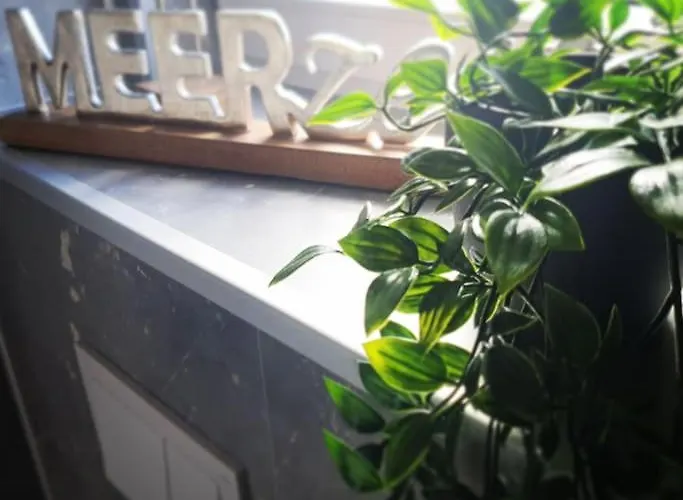 Tiny House Flensburg Luv * Hornholz